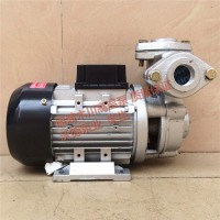 TS-63导热油专用泵 高温200度高温泵