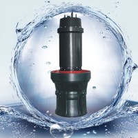 天津轴流泵 潜水轴流泵 中吸式轴流泵 海水轴流泵型号