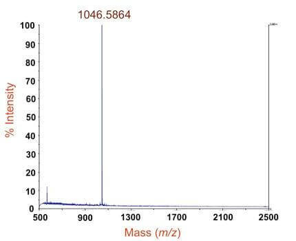 分子量测定研究案例