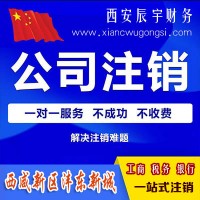 西安西咸新区沣东新城公司注销