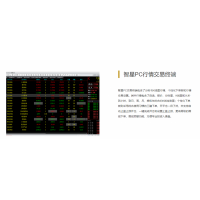 稳健老平台国际期货代理招商+智星交易系统