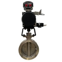 Offset Butterfly Control Valve