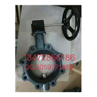 保证原装正品德国EBRO依博罗涡轮蝶阀 Z014-A规格齐全