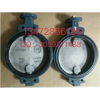 现货供应德国依博罗蝶阀Z011-A DN350规格齐全速发货
